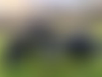 2003 HARLEY DAVIDSON MOTORCYCLE, consigned in April 4, 2026 Auction