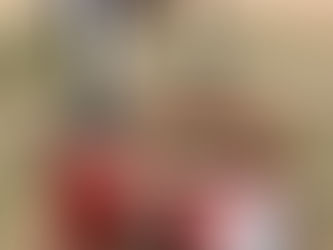 RANGER R980XR TIRE CHANGER, consigned in October 4, 2025 Auction