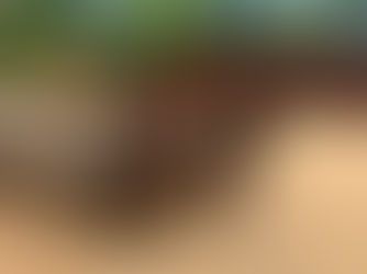 2002 CUSTOM BUILT GOOSENECK TRAILER, consigned in April 4, 2026 Auction