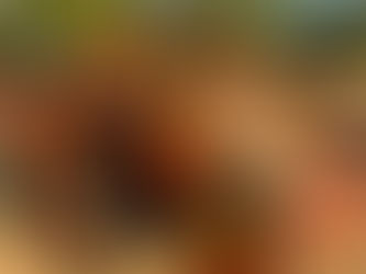 KUBOTA L2850 TRACTOR, consigned in October 4, 2024 Auction