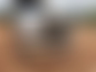 2003 MACK GRANITE, consigned in April 4, 2026 Auction