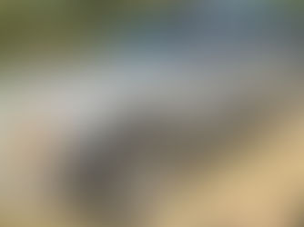 2004 GMC YOUKON XL, consigned in April 4, 2026 Auction