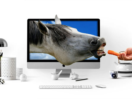 Keep on track in 2018!