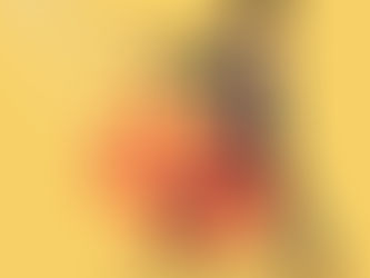 The Bank of Canada Cuts Interest Rates: What It Means for Your Mortgage