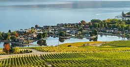 West Kelowna lakeside