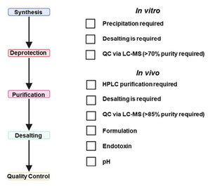 A Guide to Chemical Considerations for the Pre-Clinical Development of Oligonucleotides
