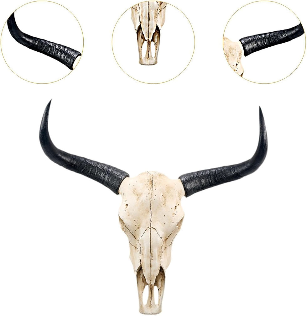 Thumbnail: Skull Bull Head