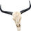 Thumbnail: Skull Bull Head
