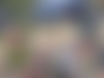 Pelotão de drones com reconhecimento facial e alerta sonoro é lançado em Minas
Gerais