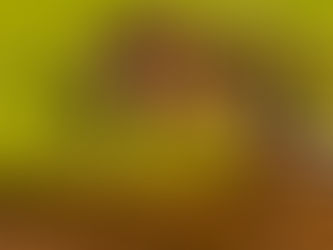 Ipatinga confirma primeira morte por dengue em 2026