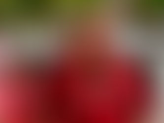 Celinho vai às ruas de Ipatinga para prestar contas e ouvir a população