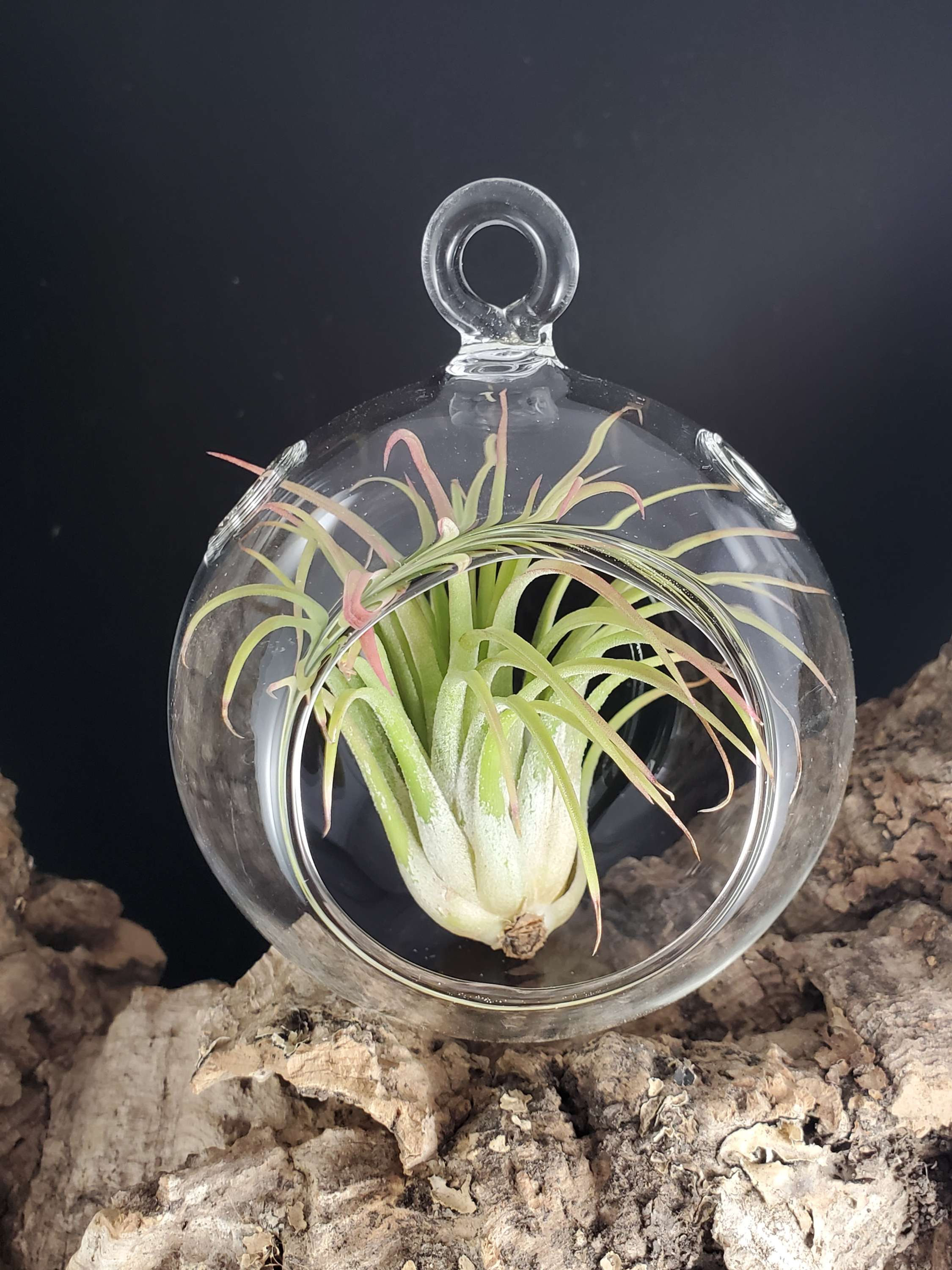 3" Hanging Glass Orbs