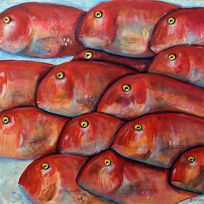 Raon are fish that are very appreciated in Mallorca, lie on ice, waiting to be bought, their eyes weary and aware
