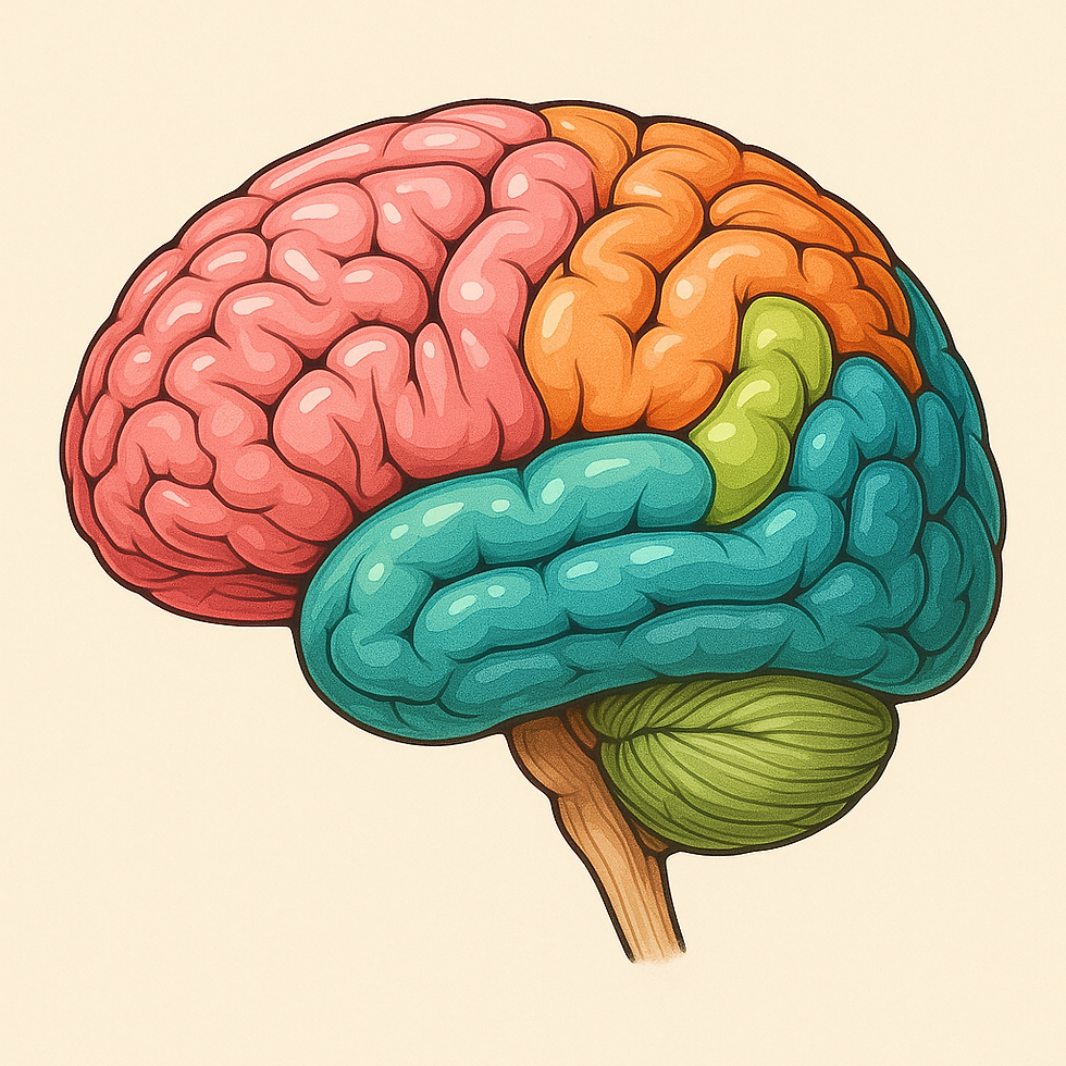 Brain