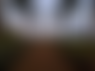 A Foodie's Paradise in Maui: Our Culinary Adventure and Whales of Spring 2026