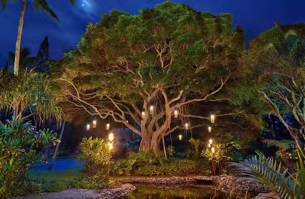 📷 Photo Credit : The Banyan Tree at The Ritz Carlton