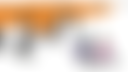 ВСТРЕЧИ   В  ПАРКЕ