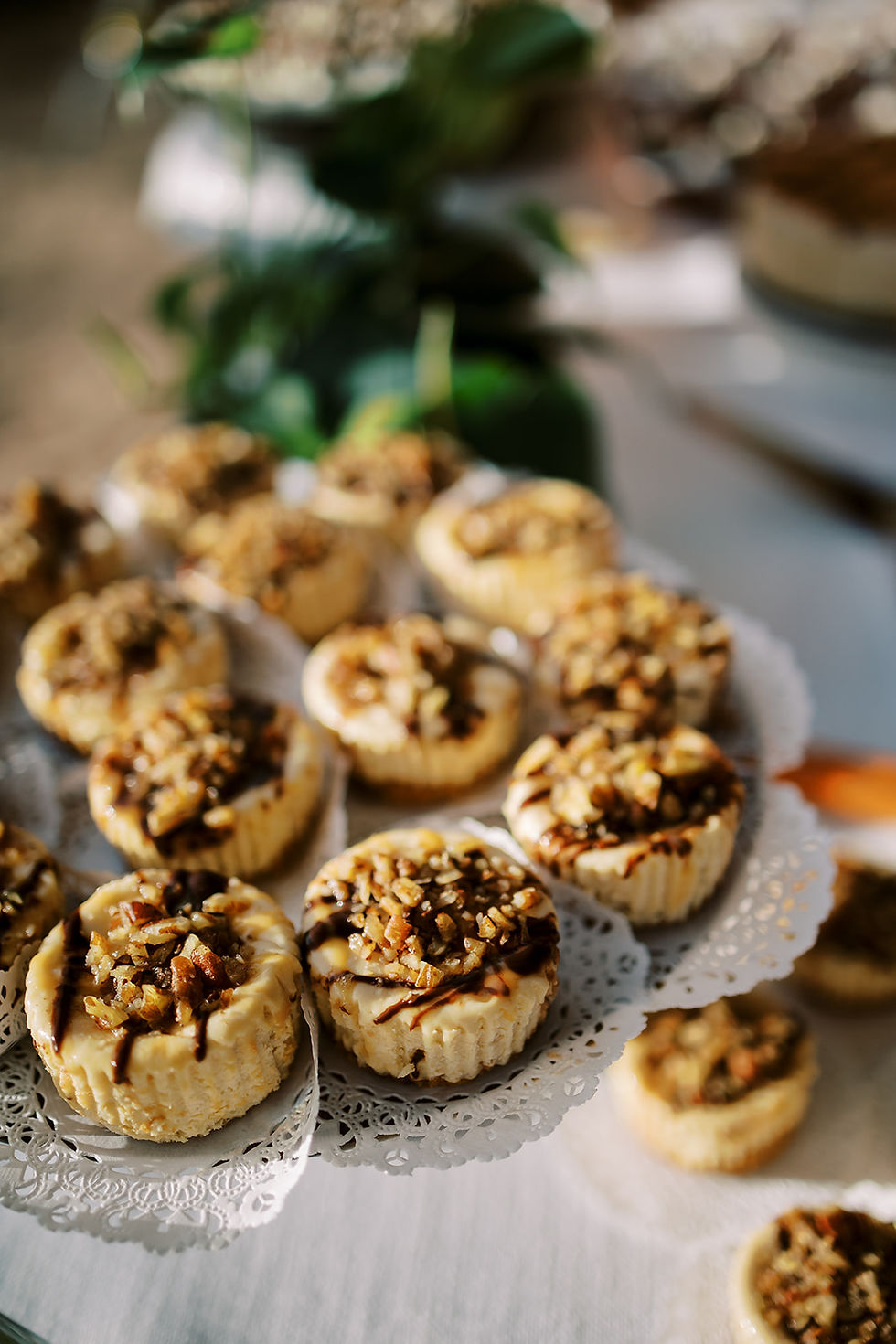 Thumbnail: Turtle Cheesecake