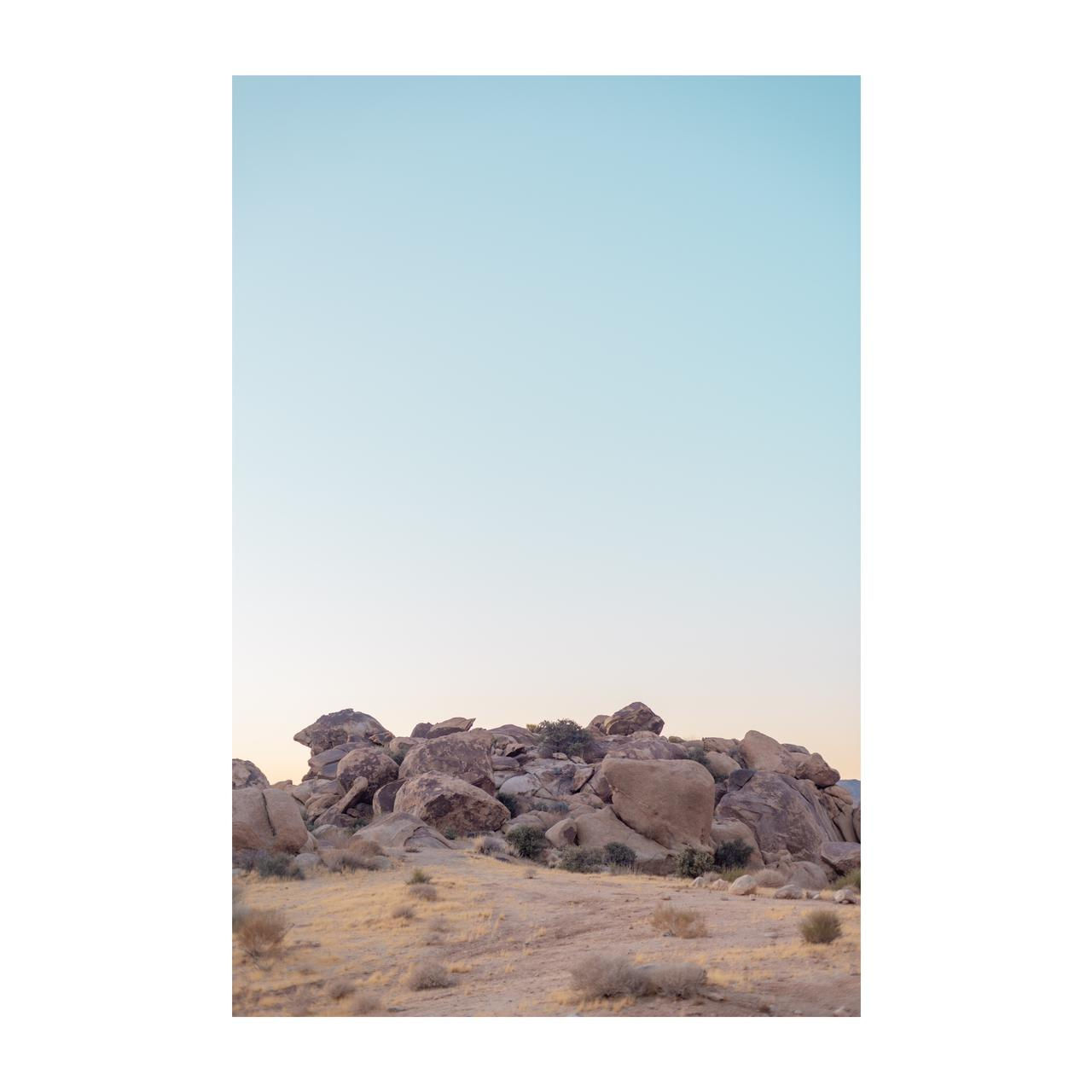 Joshua Tree Day