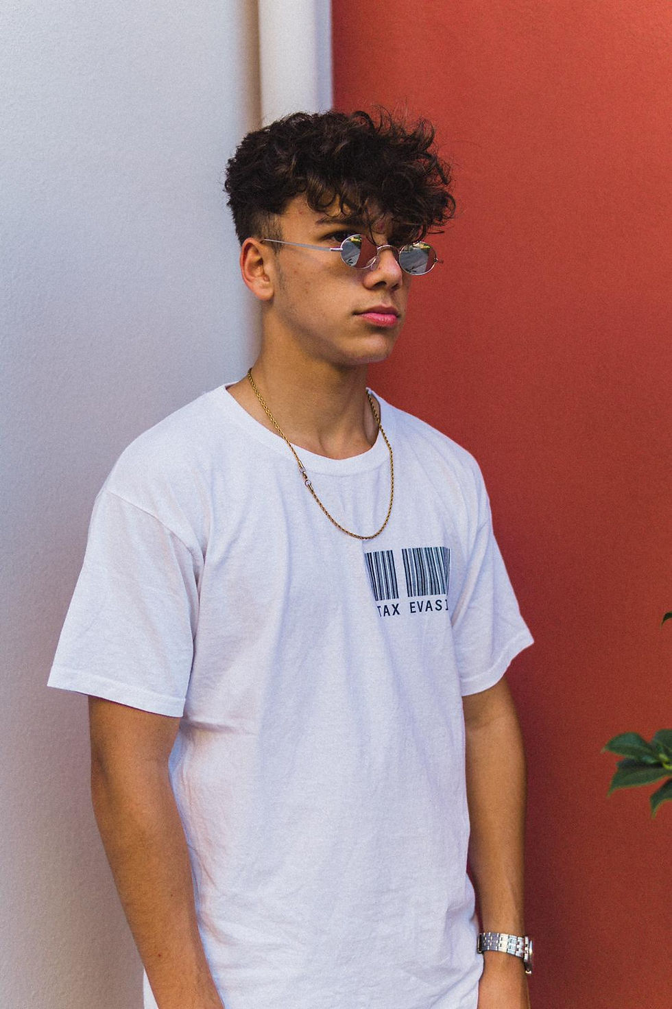 Tax Evasion Tee