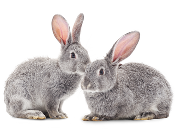 2023年新年のご挨拶