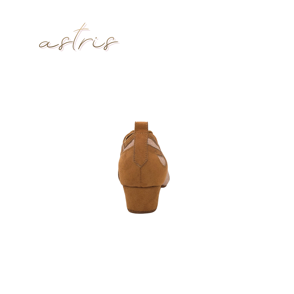 Küçük resim: ASTRIS