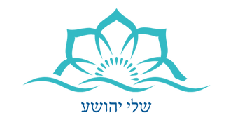 bigtransparentlogo_edited.png