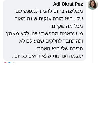 פידבק