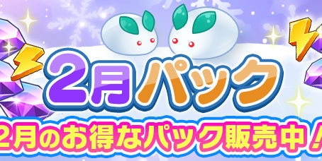 2月のお得なパックを販売！