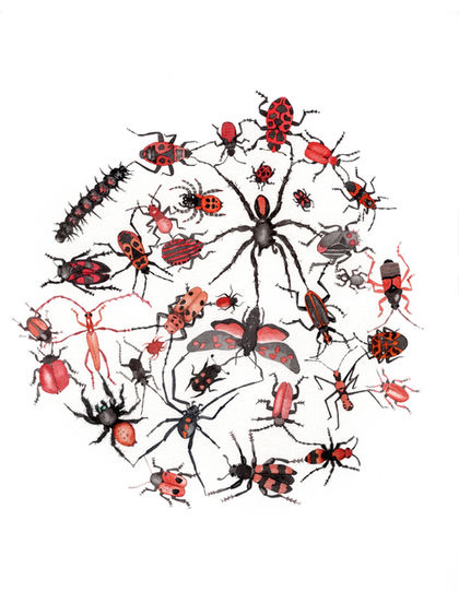 Diversity in red and black