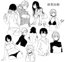 体型比較