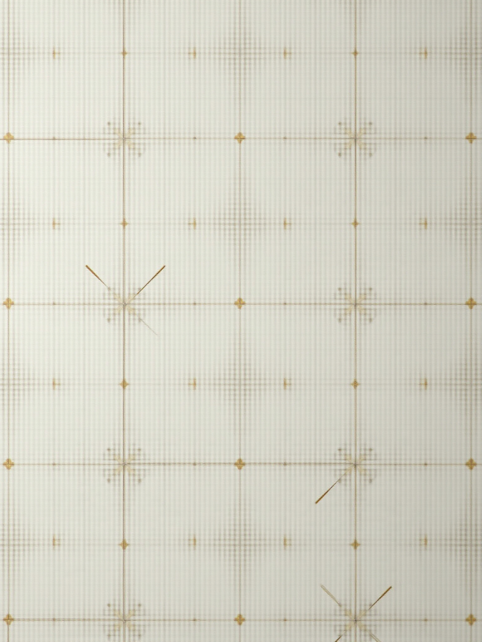 With Arte and Gusto Ltd 