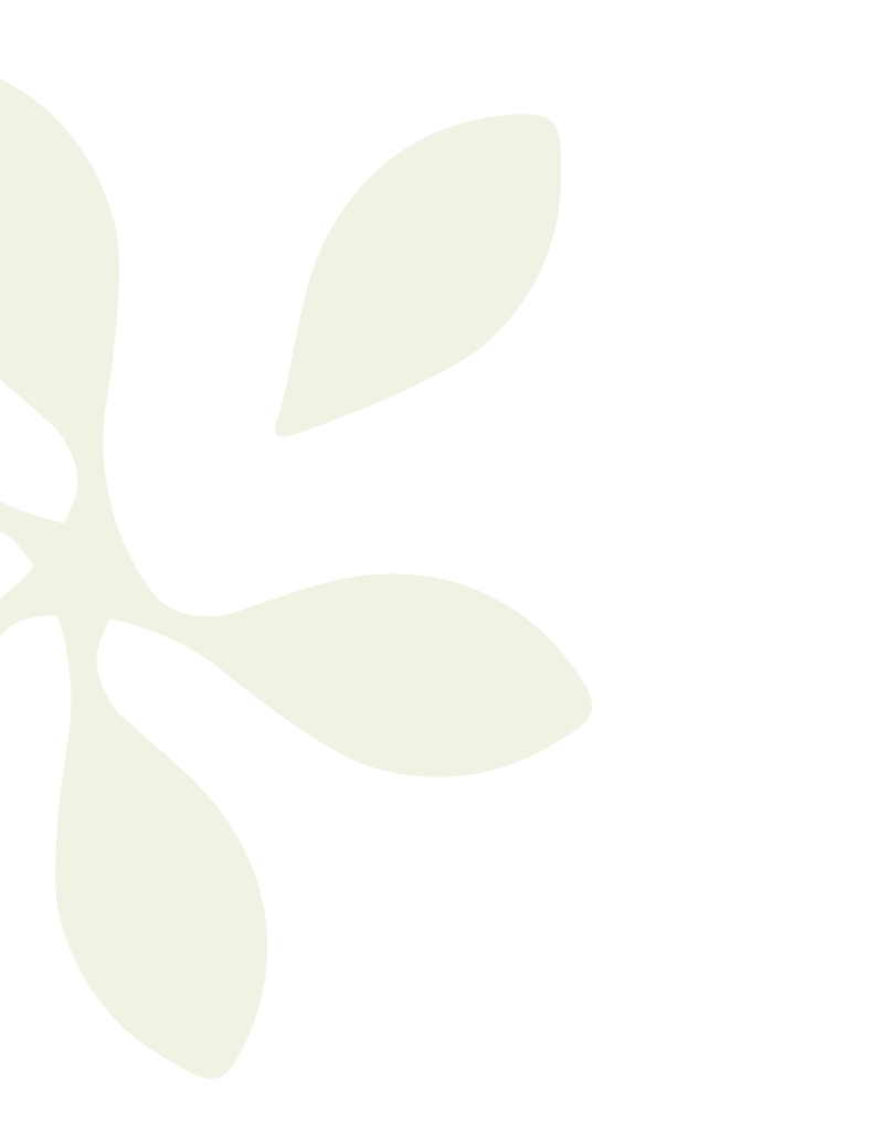 optimiser sa candidature (4)