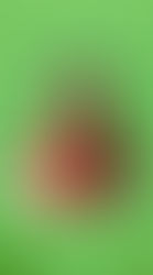 Our newest team member