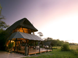 New look for The Hide Safari Camp in Hwange, Zimbabwe