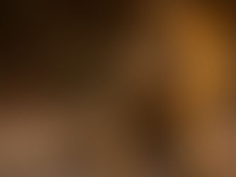 Bushtracks Africa attends "Vanishing Kings II - Desert Lion Legacy" Premier