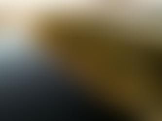 Much anticipated Chundu Island Lodge welcome their first guests