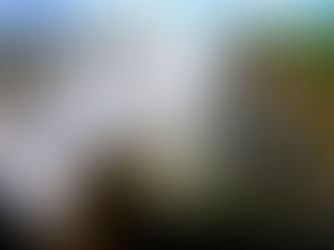 Scenic Abseiling in Victoria Falls 