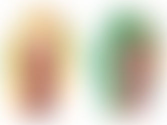 Zimbabwe and Zambia decide on a joint tourism committee