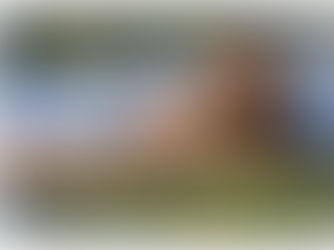 Wide-eyed Lion Flees