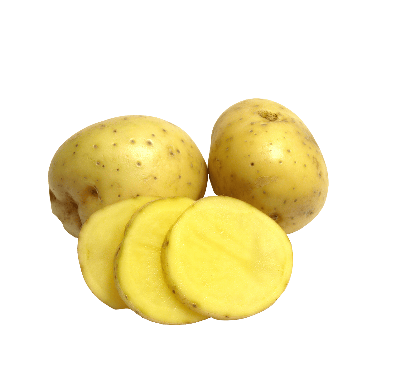 Patates uygun