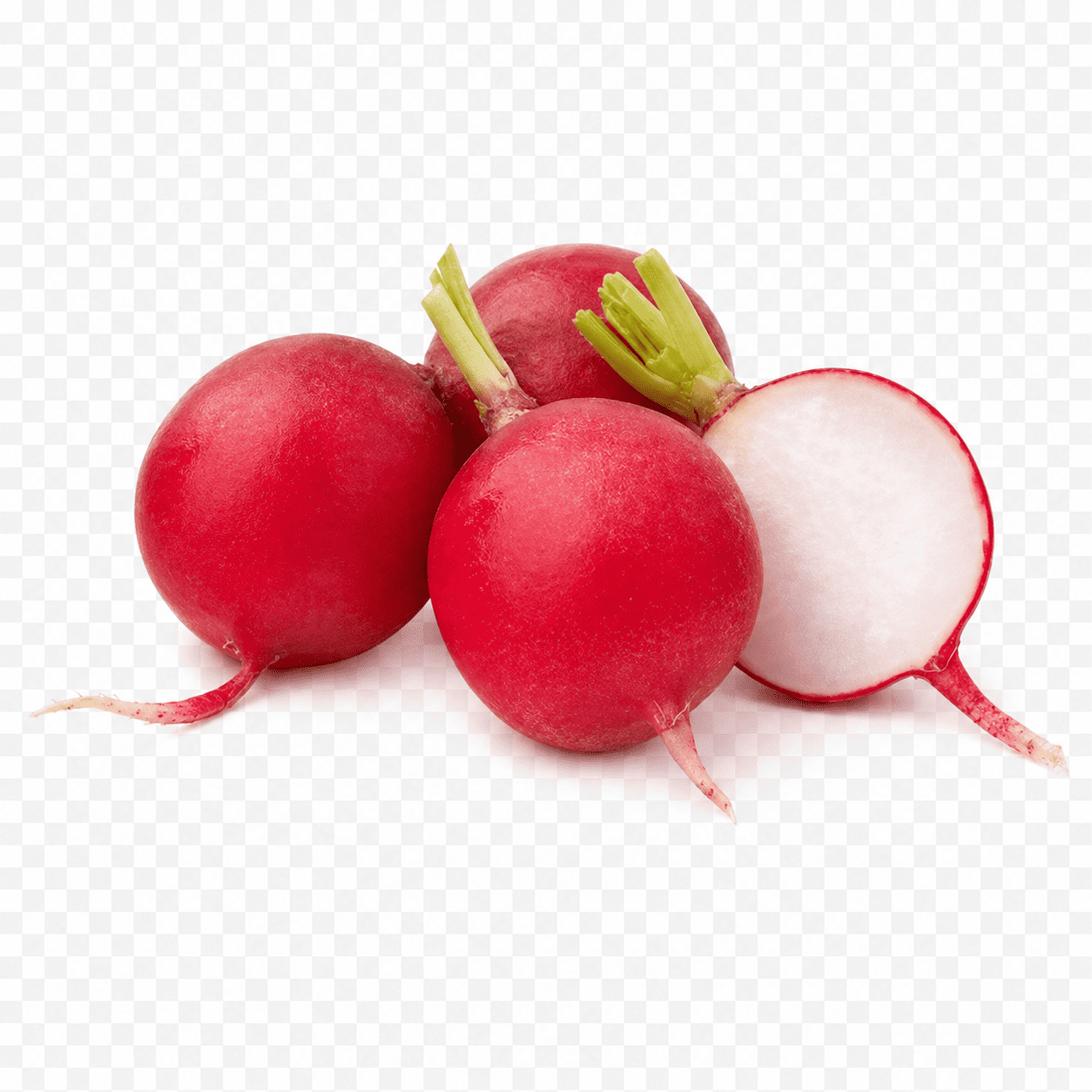 Turp (Kırmızı)