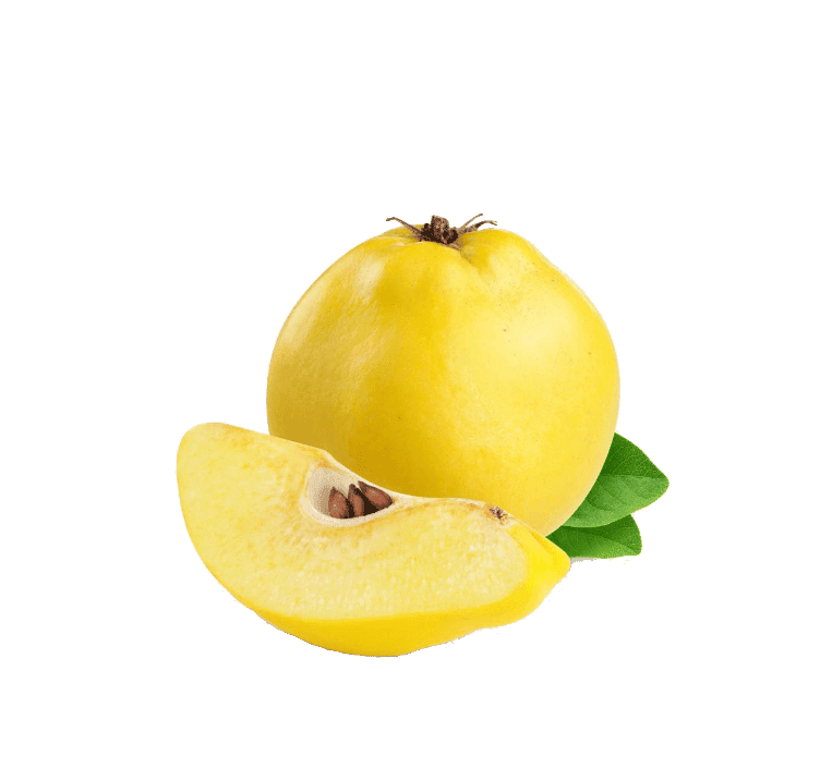 Ayva