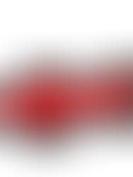 What Is an Expansion Joint and What Does It Do?