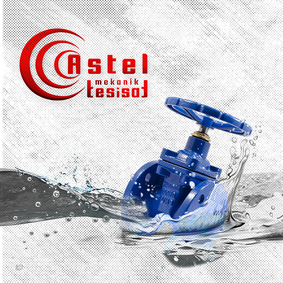 Vana Çeşitleri