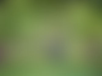 70% of the UK want to see more nature, finds YouGov survey