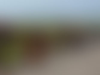 COVID-19 presents new challenges for internally displaced people