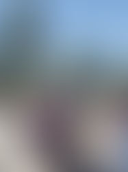 Idaho Catholic summer camps are open for registration