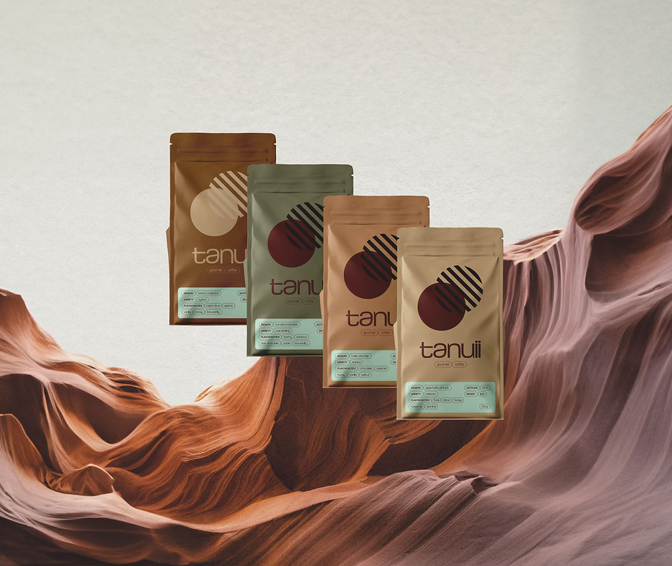 Tanuii Coffee main packaging designs by GZDS – Gianmarco Zanol Design Studio, showcasing minimalist branding and premium materials for coffee packaging