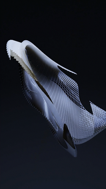 Adidas 4D